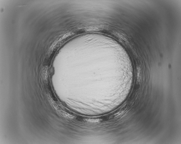 X0000053070495200508081223