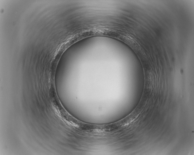 X0000053070496200508081223