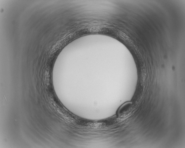 X0000053070497200508081223