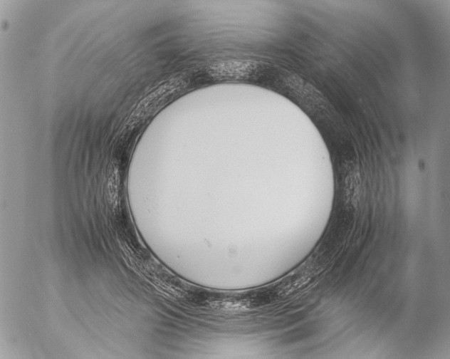 X0000053070498200508081223