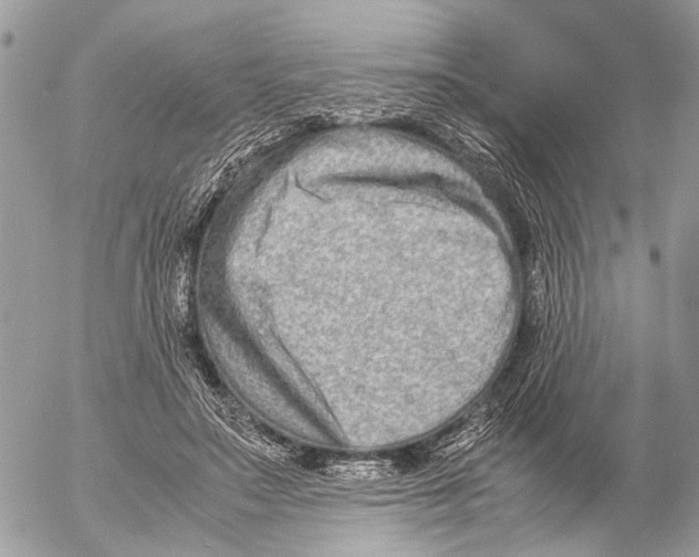 X0000053070499200508081223