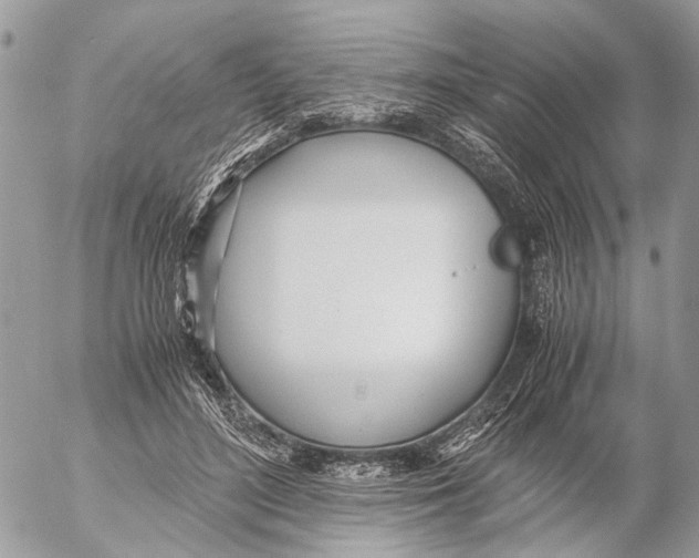 X0000053070500200508081223