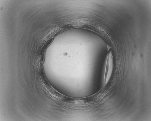 X0000053070501200508081223