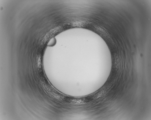 X0000053070502200508081223