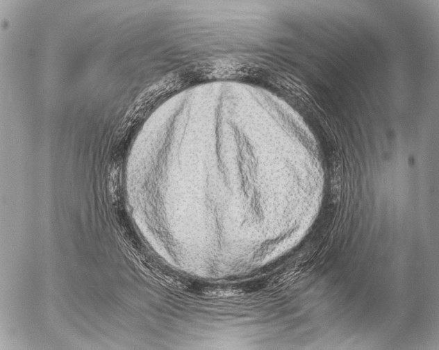 X0000053070503200508081223