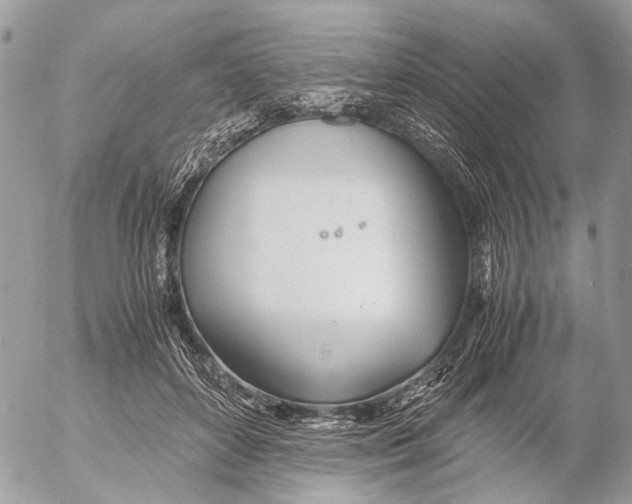 X0000053070504200508081223