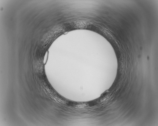 X0000053070505200508081223