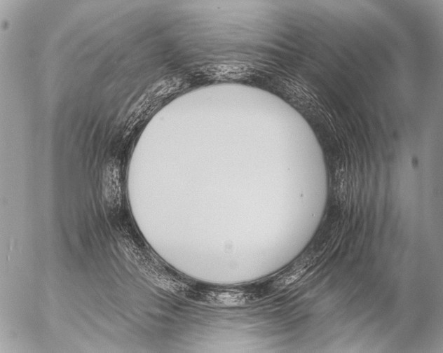 X0000053070506200508081223