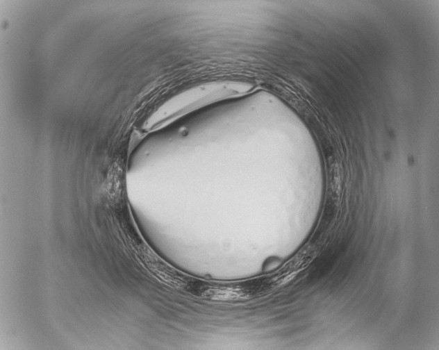 X0000053070507200508081223