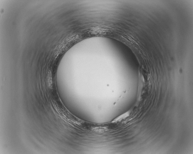 X0000053070508200508081223