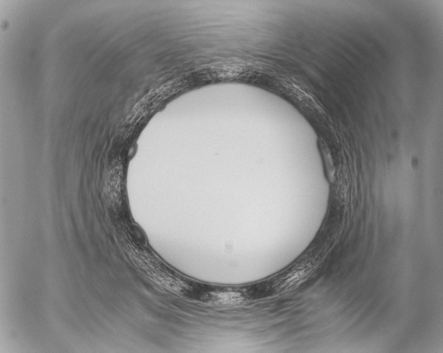 X0000053070509200508081223