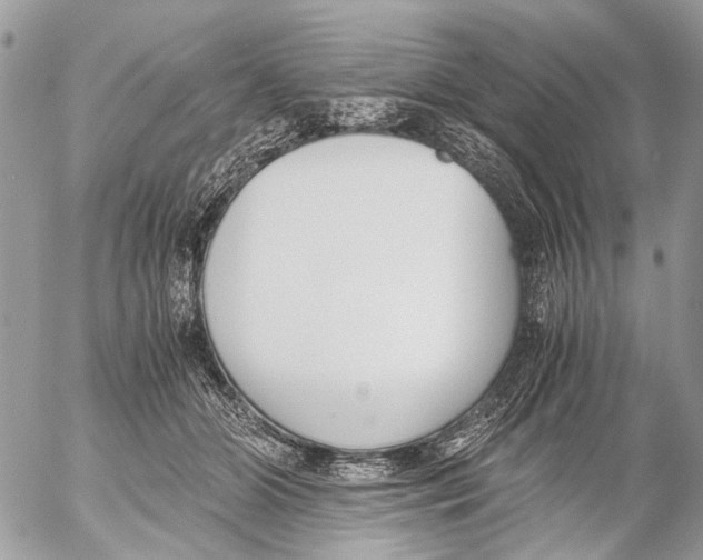 X0000053070510200508081223