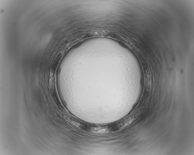 X0000053070511200508081223