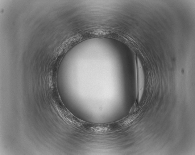 X0000053070512200508081223