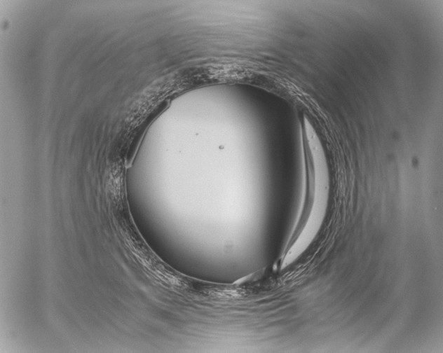 X0000053070513200508081223