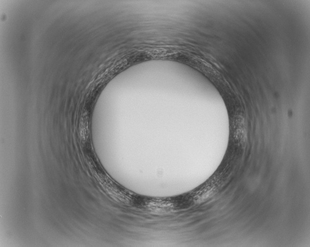 X0000053070515200508081223