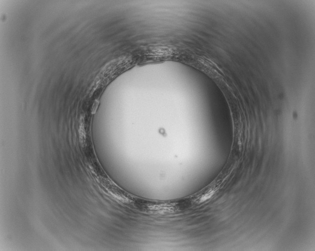 X0000053070516200508081223