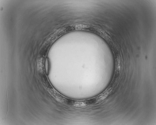 X0000053070519200508081223