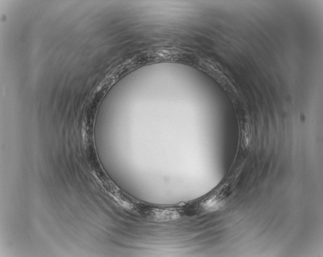 X0000053070520200508081223