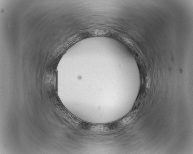 X0000053070521200508081223