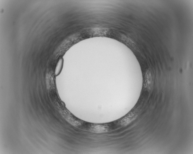 X0000053070522200508081223