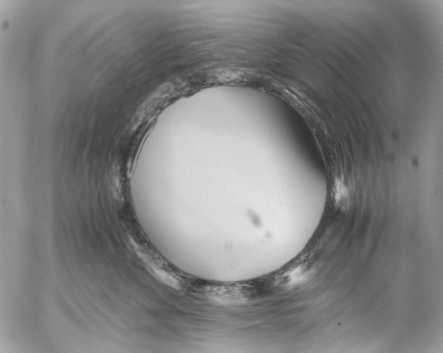 X0000053070524200508081223