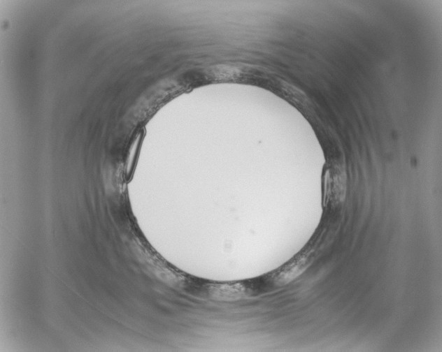 X0000053070525200508081223