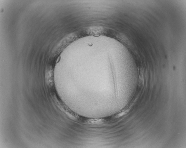 X0000053070526200508081223