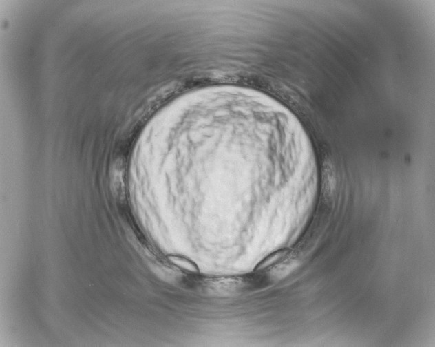 X0000053070527200508081223