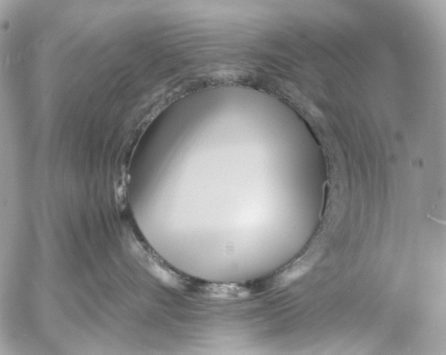 X0000053070528200508081223