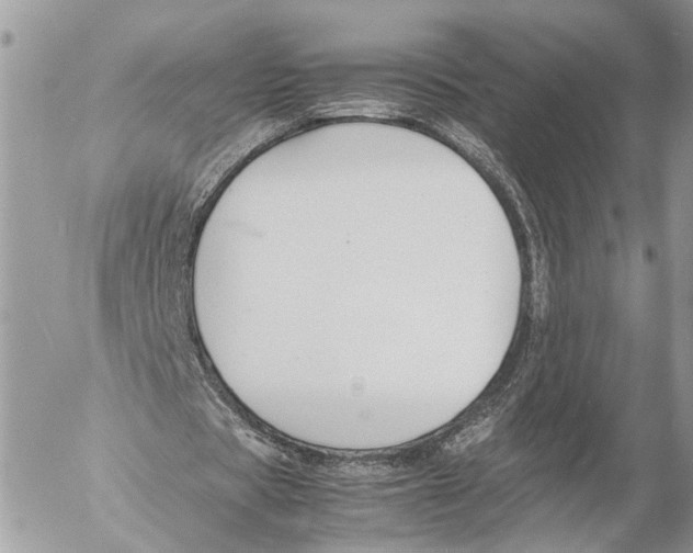 X0000053070529200508081222