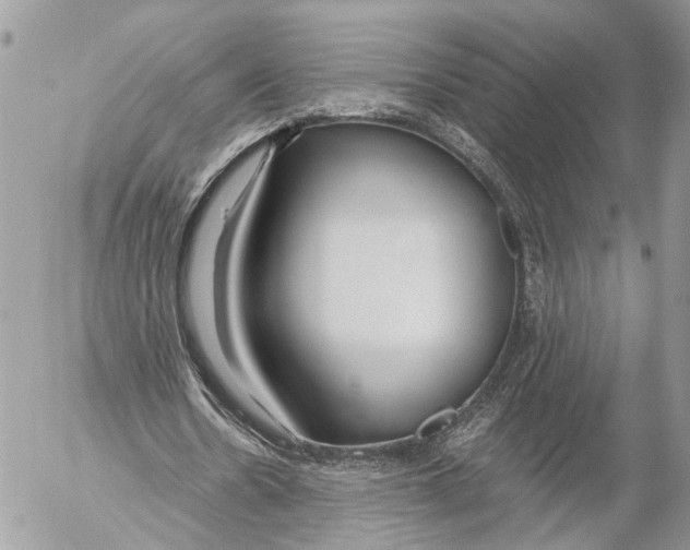 X0000053070530200508081222