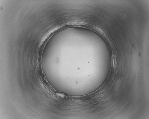 X0000053070531200508081222