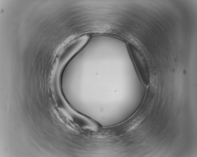 X0000053070532200508081222