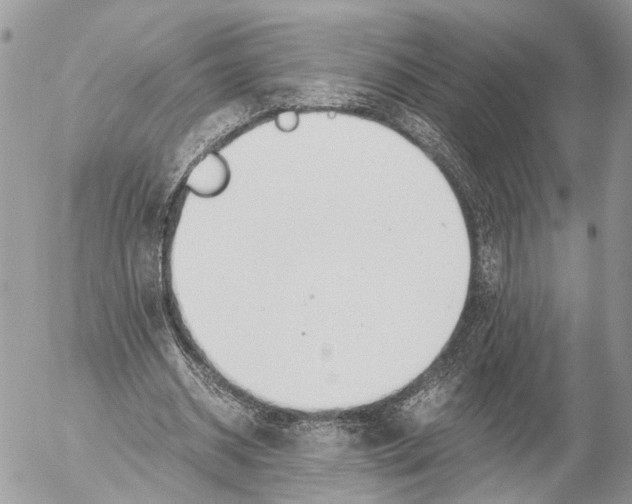 X0000053070534200508081222