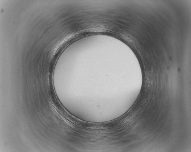 X0000053070535200508081222