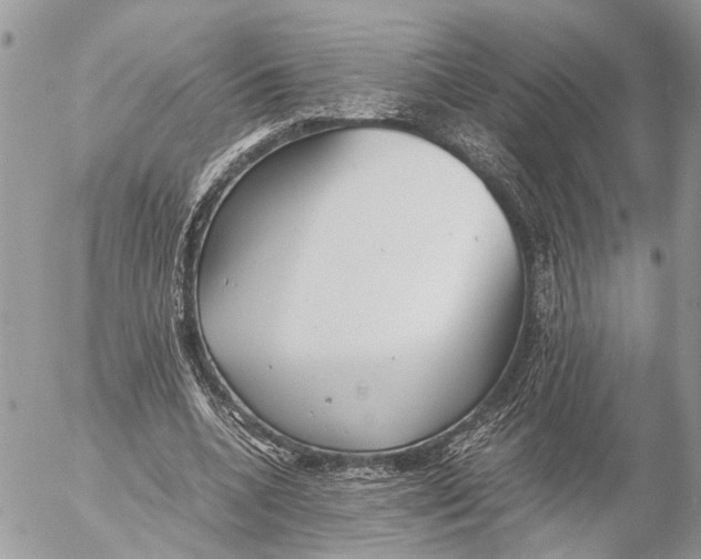 X0000053070536200508081222