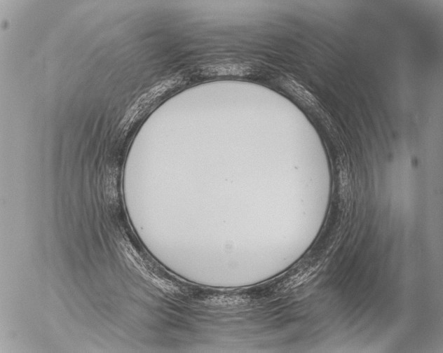 X0000053070537200508081222