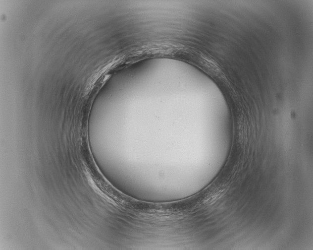 X0000053070538200508081222