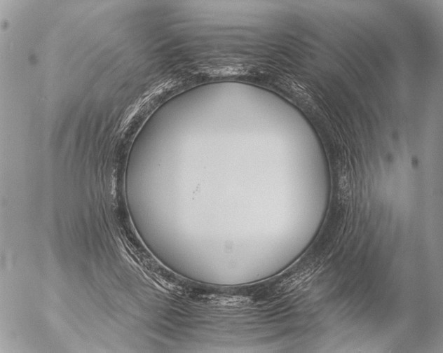 X0000053070539200508081222