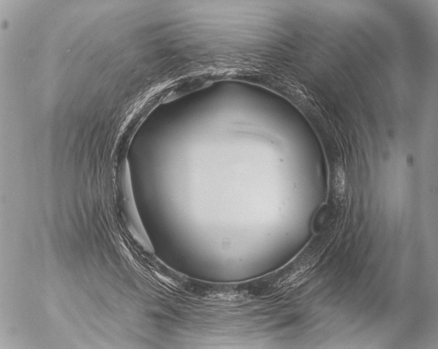 X0000053070540200508081222