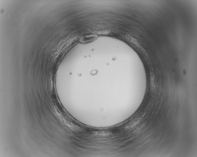 X0000053070541200508081222