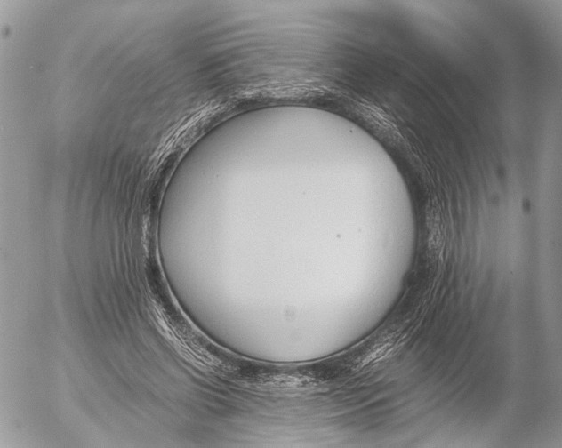 X0000053070542200508081222