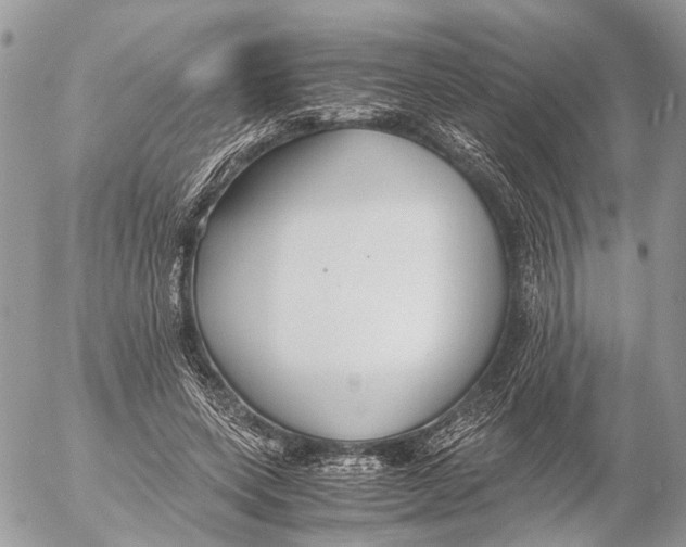 X0000053070543200508081222