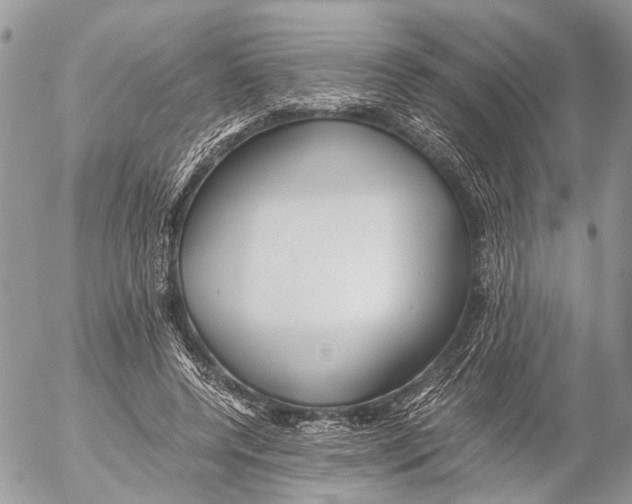 X0000053070544200508081222