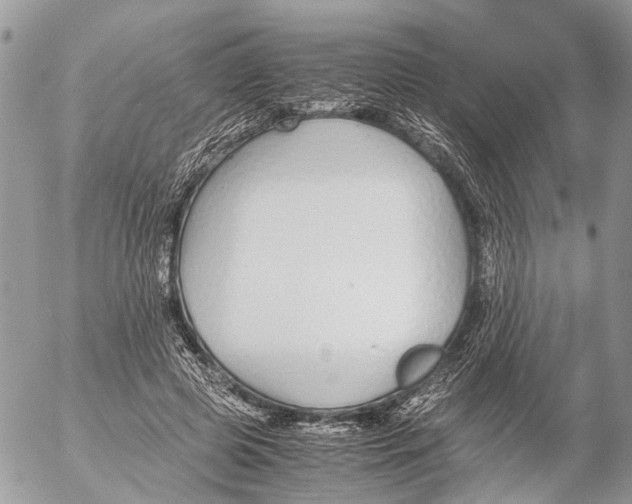 X0000053070545200508081222