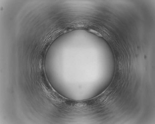 X0000053070546200508081222