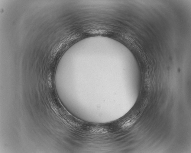 X0000053070547200508081222