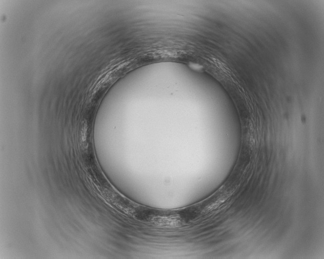 X0000053070548200508081222