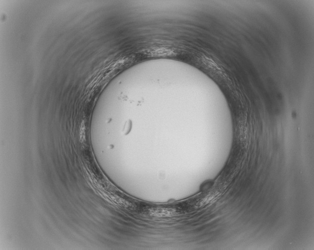 X0000053070549200508081222